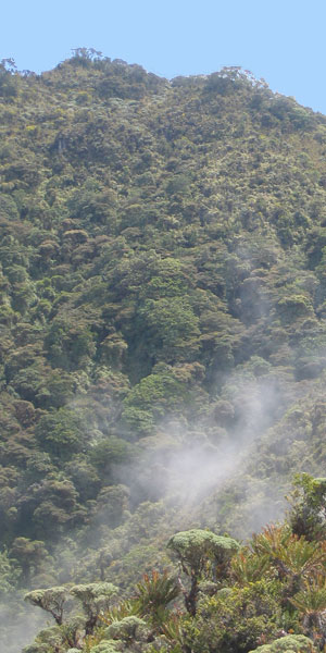 Kamuk Trekking Expedition © by OA:modio